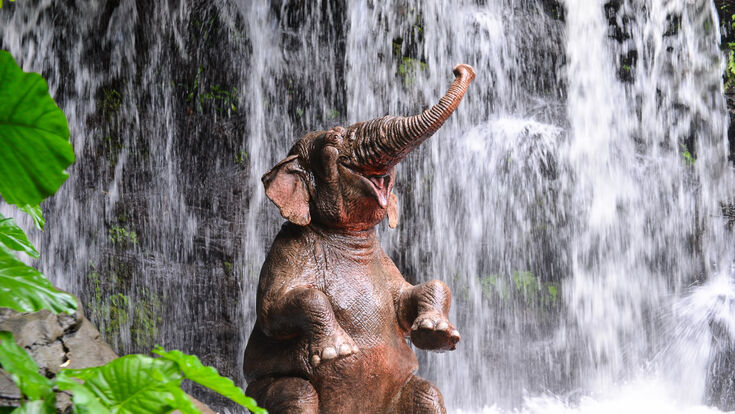© kikujungboy - Fotolia Asian Thailand animal asia bathing big blow blowing blue chitwan drops elephant enjoy enjoying fun green grey happy joy jungle laughing mammal national natural nature nepal np park playing pleasure protected refresh river sky splash splashing trunk washing water waterfall wet wild wilderness wildlife asian thailand animal asia bathing big blow blowing blue chitwan drops elephant enjoy enjoying fun green grey happy joy jungle laughing mammal national natural nature nepal np park playing pleasure protected refresh river sky splash splashing trunk washing water waterfall wet wild wilderness wildlife