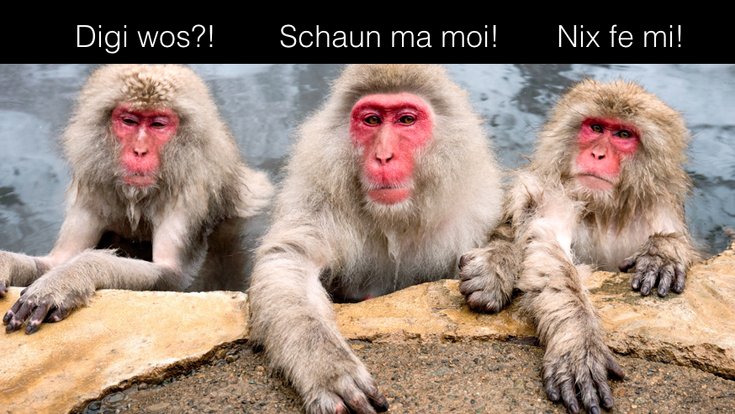 © Fotolia/Factory Digitaler Affenzirkus