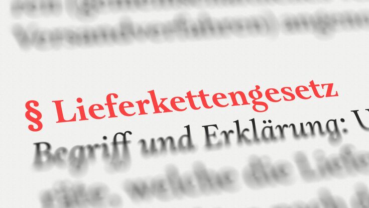 © Nico - stock.adobe.com lieferkettengesetz, initiative lieferkettengesetz, lieferketten, lieferkette, bundesregierung, kinderarbeit, unternehmen, schwellenländer, hungerlöhne, ausbeutung, menschenrechte, buch, text, wort, close up, makro