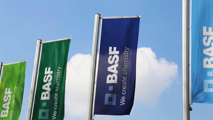 © U. J. Alexander - stock.adobe.com Flaggen der BASF beim Werksgelände Ludwigshafen